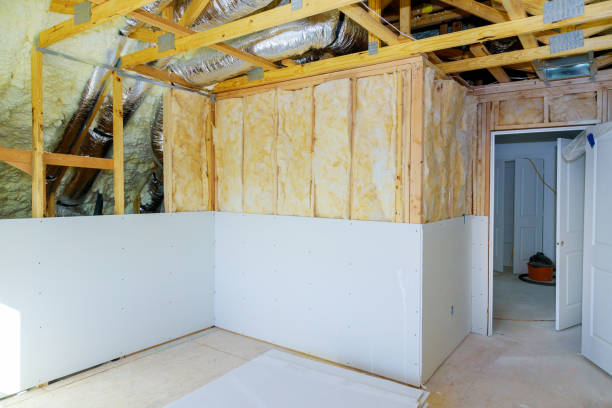 Best Home Insulation Services  in Passapatanzy, VA