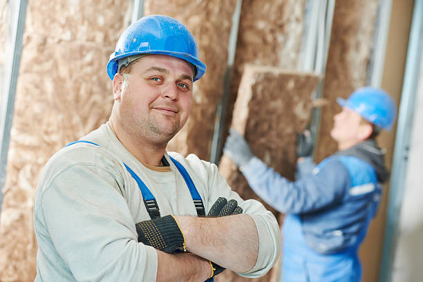 Best Insulation Replacement Services  in Passapatanzy, VA