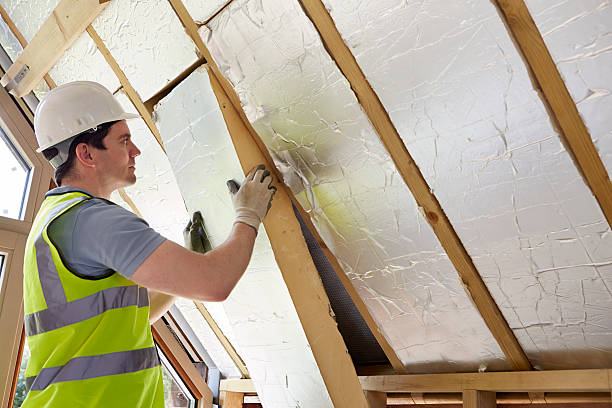 Best Commercial Insulation Contractor  in Passapatanzy, VA